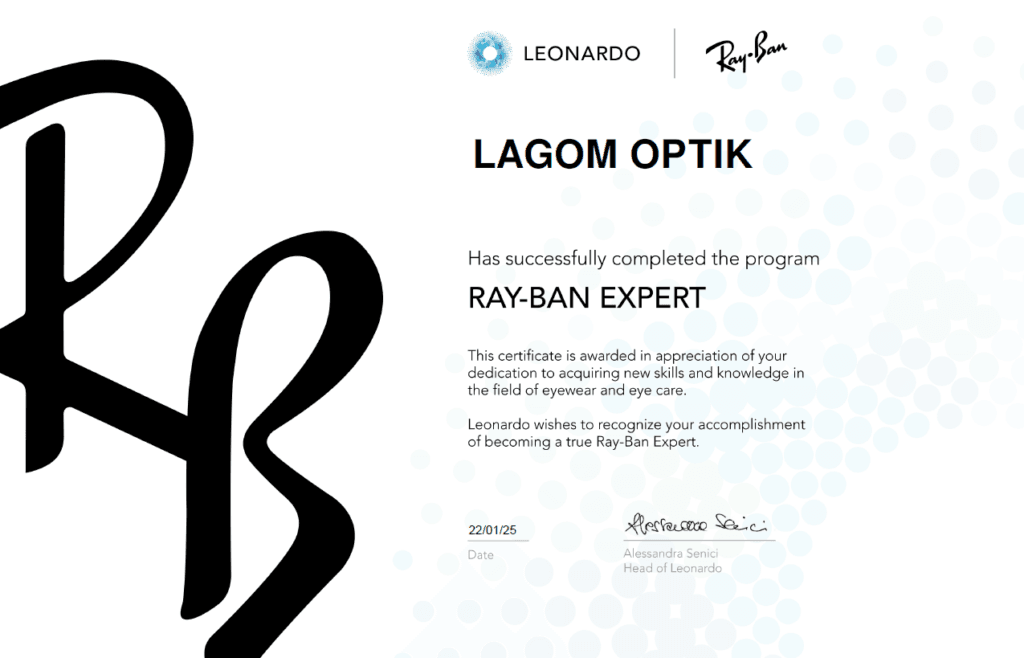 RAYBAN EXPERT